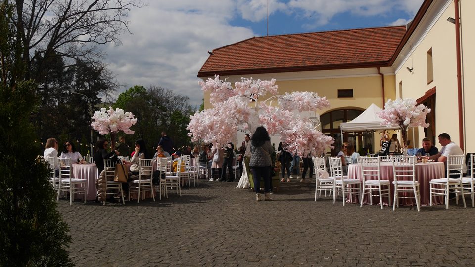 В Ужгороді – фестиваль рожевого вина  «Sakura Wine»