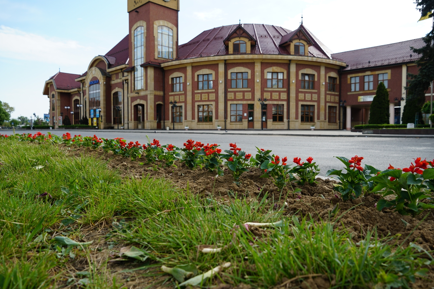 В Ужгороді на двох площах змінюють весняні квіти на літні 