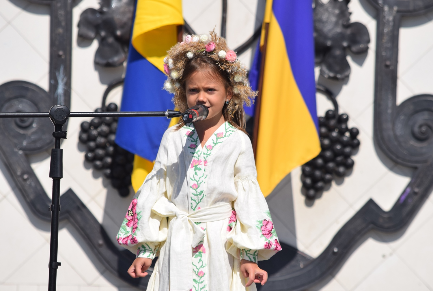 Музичні вітання з Днем Незалежності лунали в центрі Ужгорода