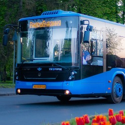 Графік руху автобусів №№18,20 та 24