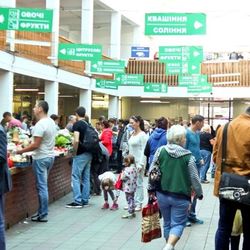 Про роботу «зеленого базару» в Ужгороді