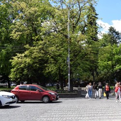 В Ужгороді розпочали капітальний ремонт зеленої зони на площі Шандора Петефі