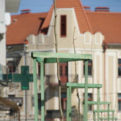 На площі Шандора Петефі висадили молоді дерева