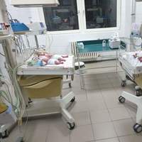 В Ужгородському міському пологовому будинку народилася четвірня
