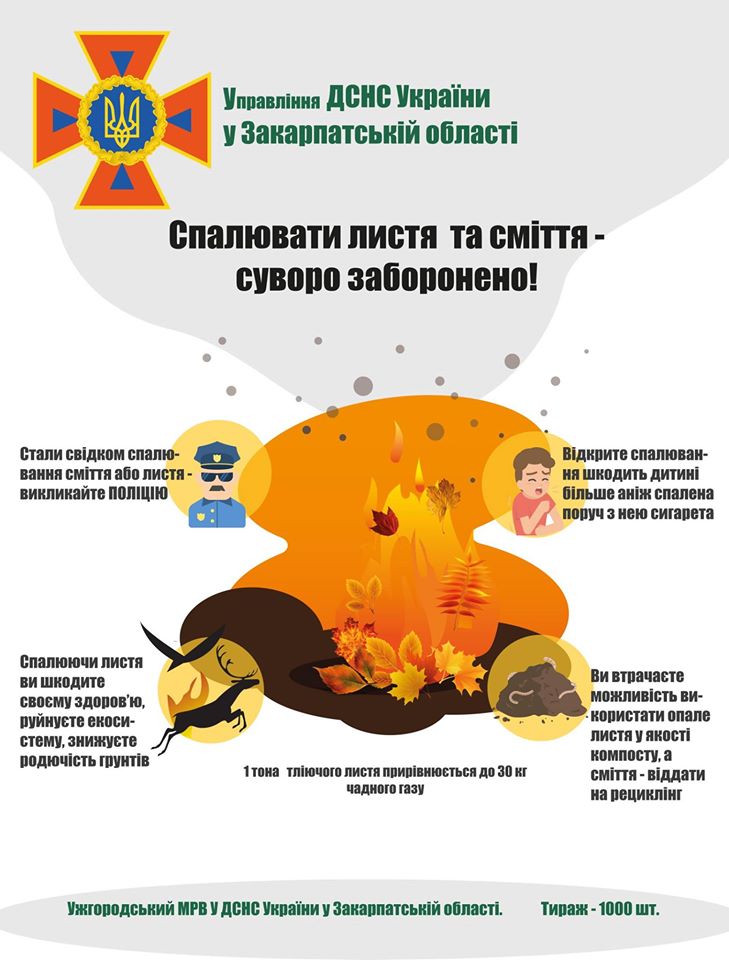 Ужгородські рятувальники закликають не спалювати суху траву та сухостої!