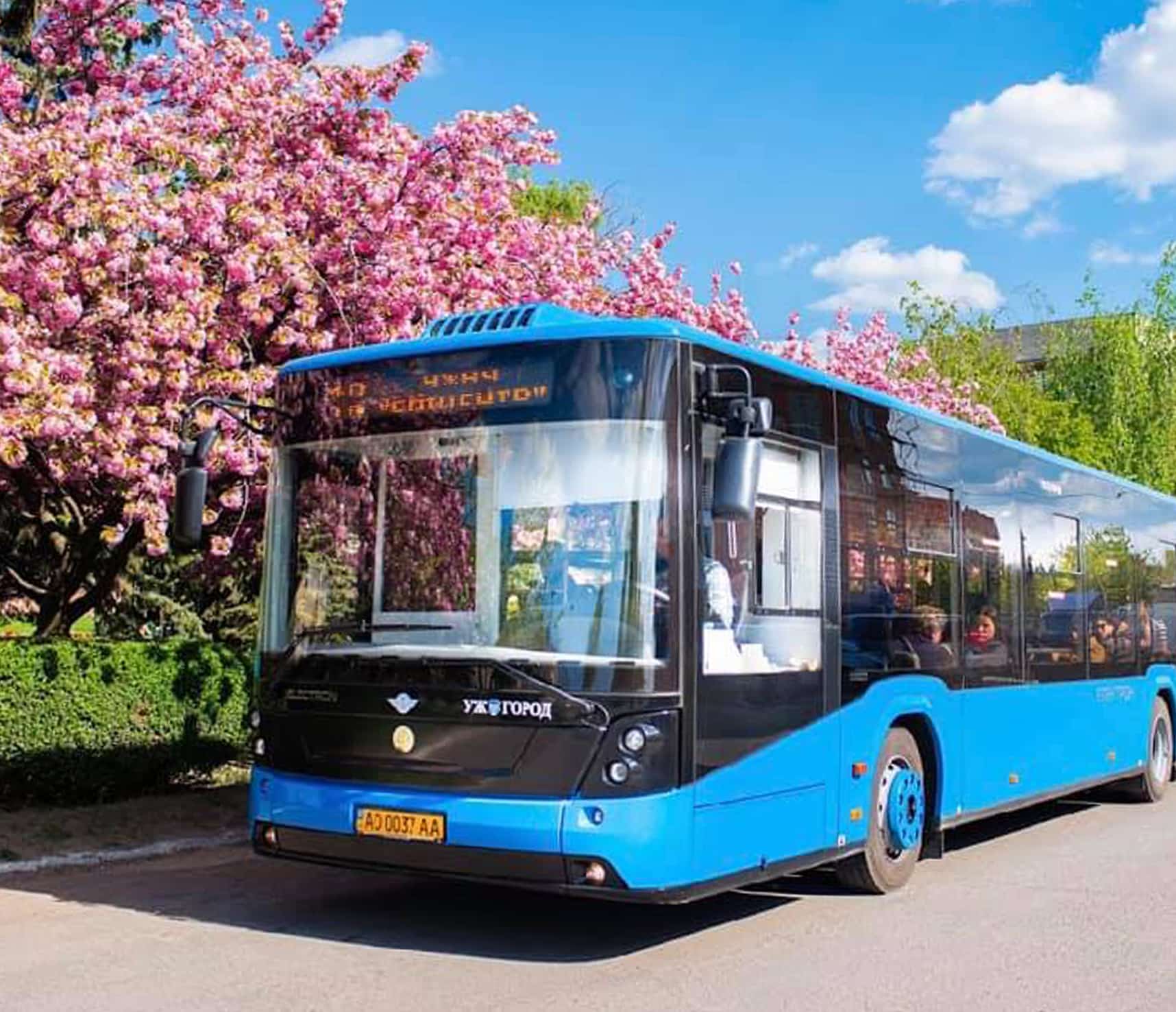 Автобуси міського маршруту №18 в Ужгороді їздитимуть цими вихідними частіше