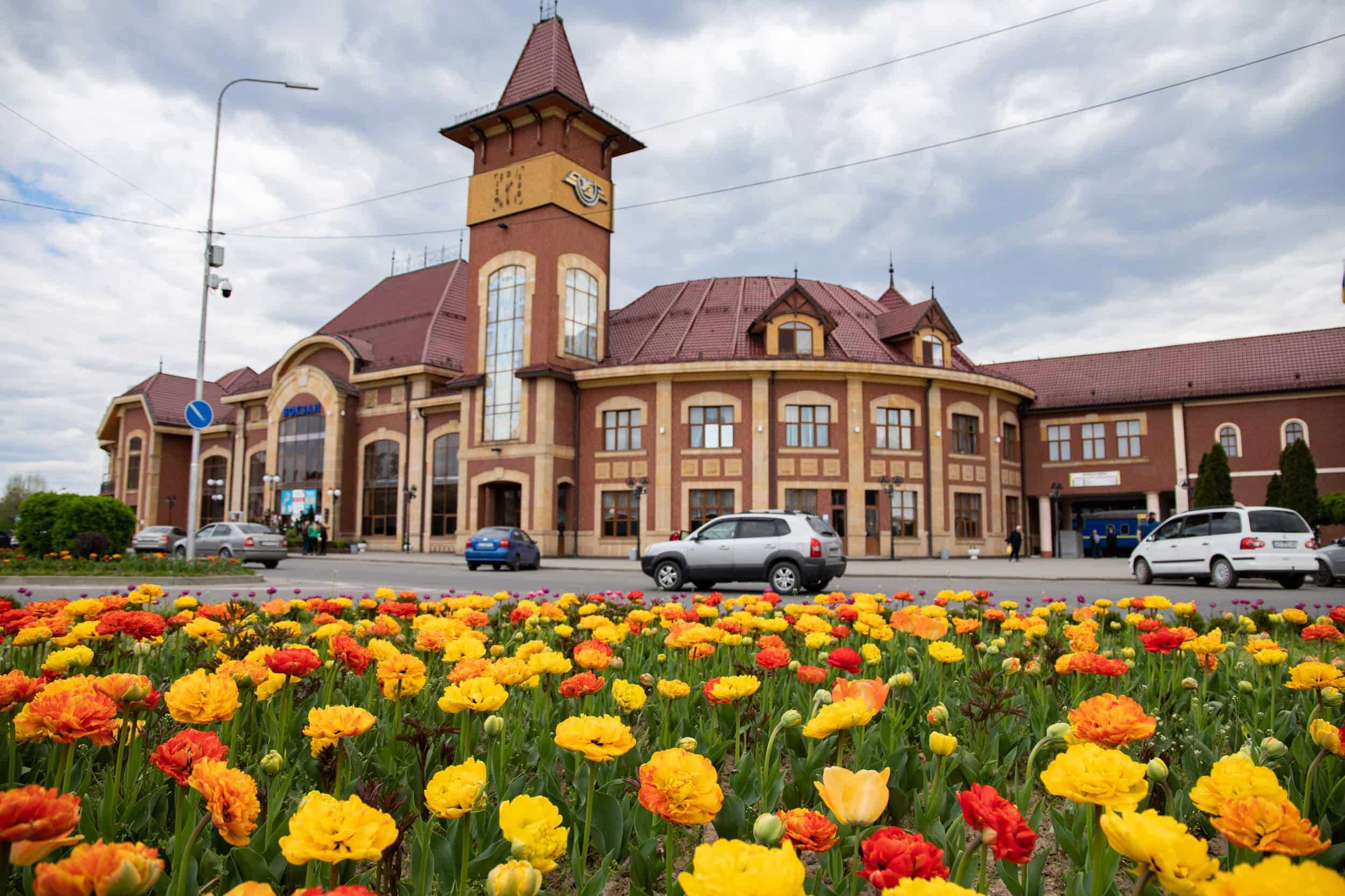 Понад 40 тисяч тюльпанів прикрашають клумби та зелені зони Ужгорода