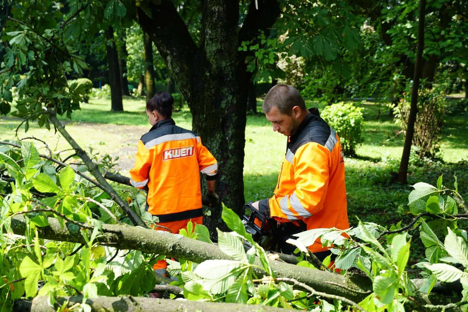 Комунальні служби продовжують ліквідовувати наслідки негоди в Ужгороді