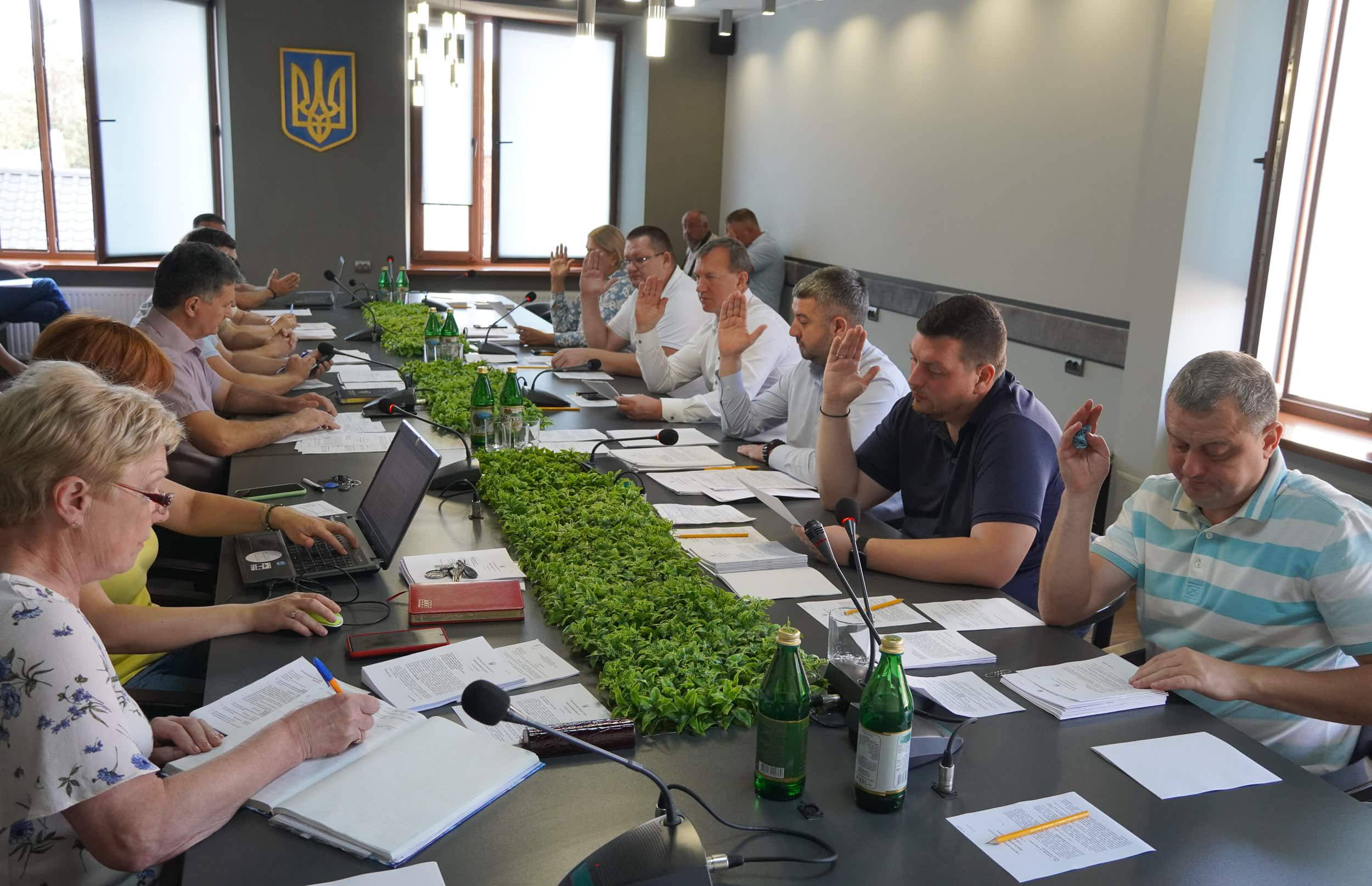 Засідання виконкому: Програма підтримки обдарованої молоді та міські медичні програми