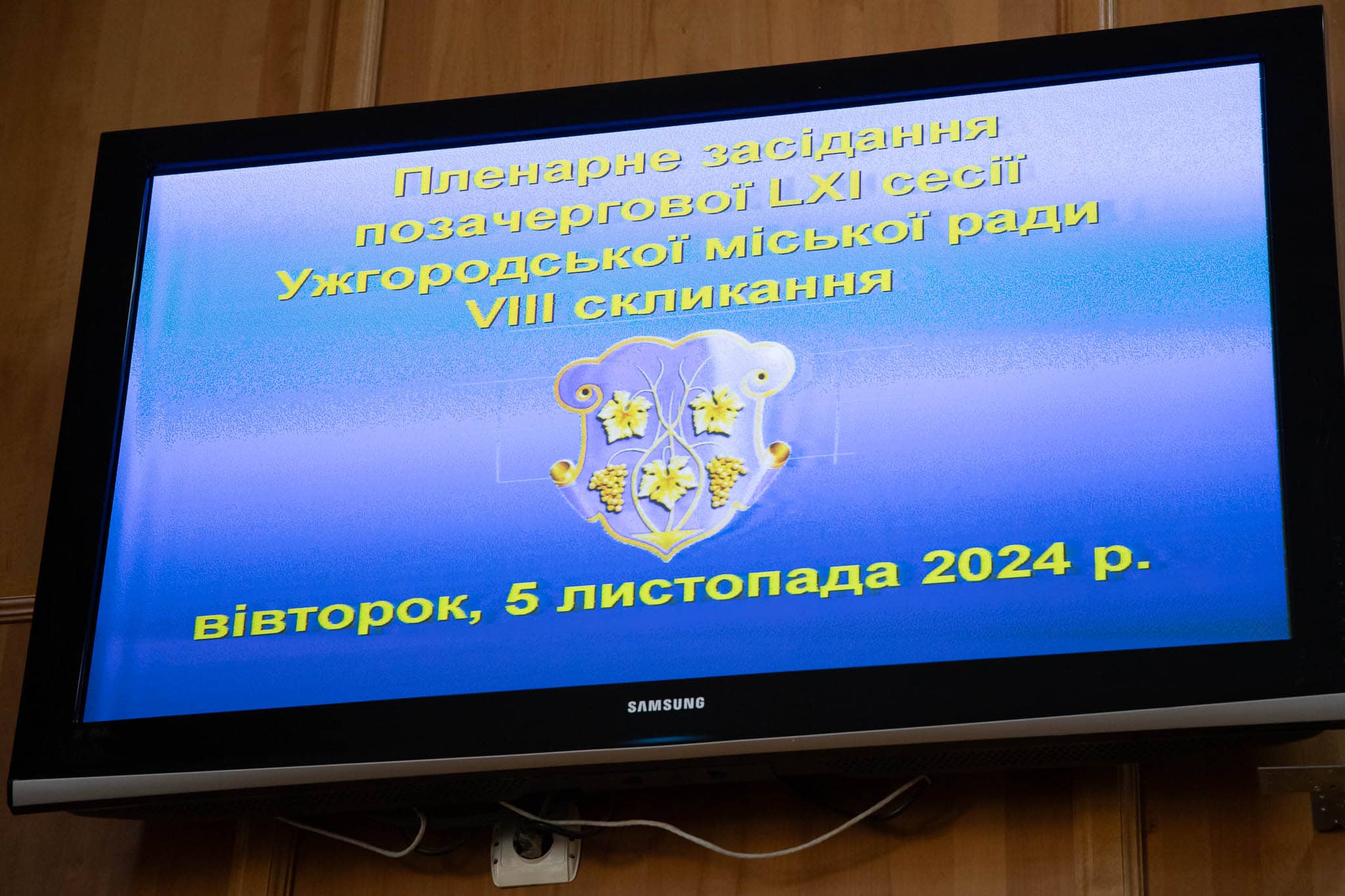 Ужгородська міська рада підтримує План перемоги, представлений Президентом України Володимиром Зеленським