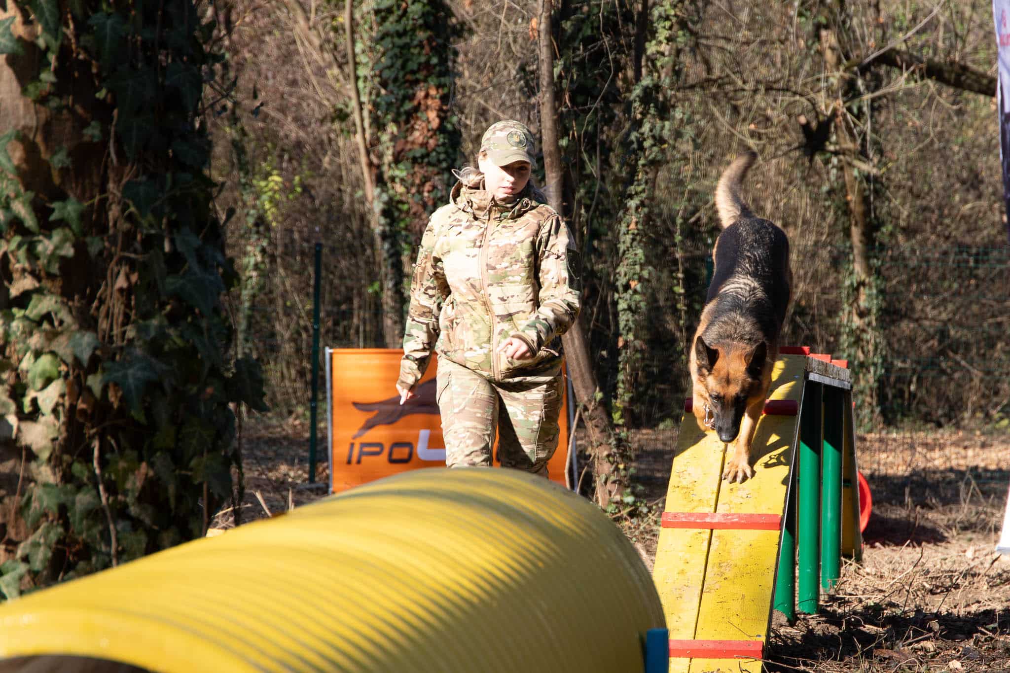 У Боздоському парку сьогодні відкрили першу в Ужгороді спеціально облаштовану ділянку для вигулу та тренувань собак