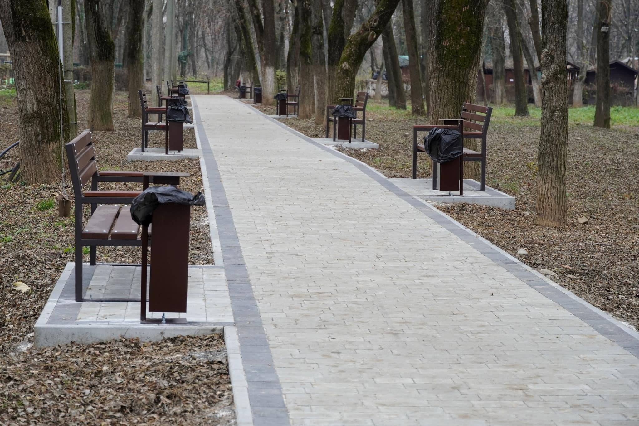 У Боздоському парку в Ужгороді оновили алею, яка довгий час була у занедбаному стані