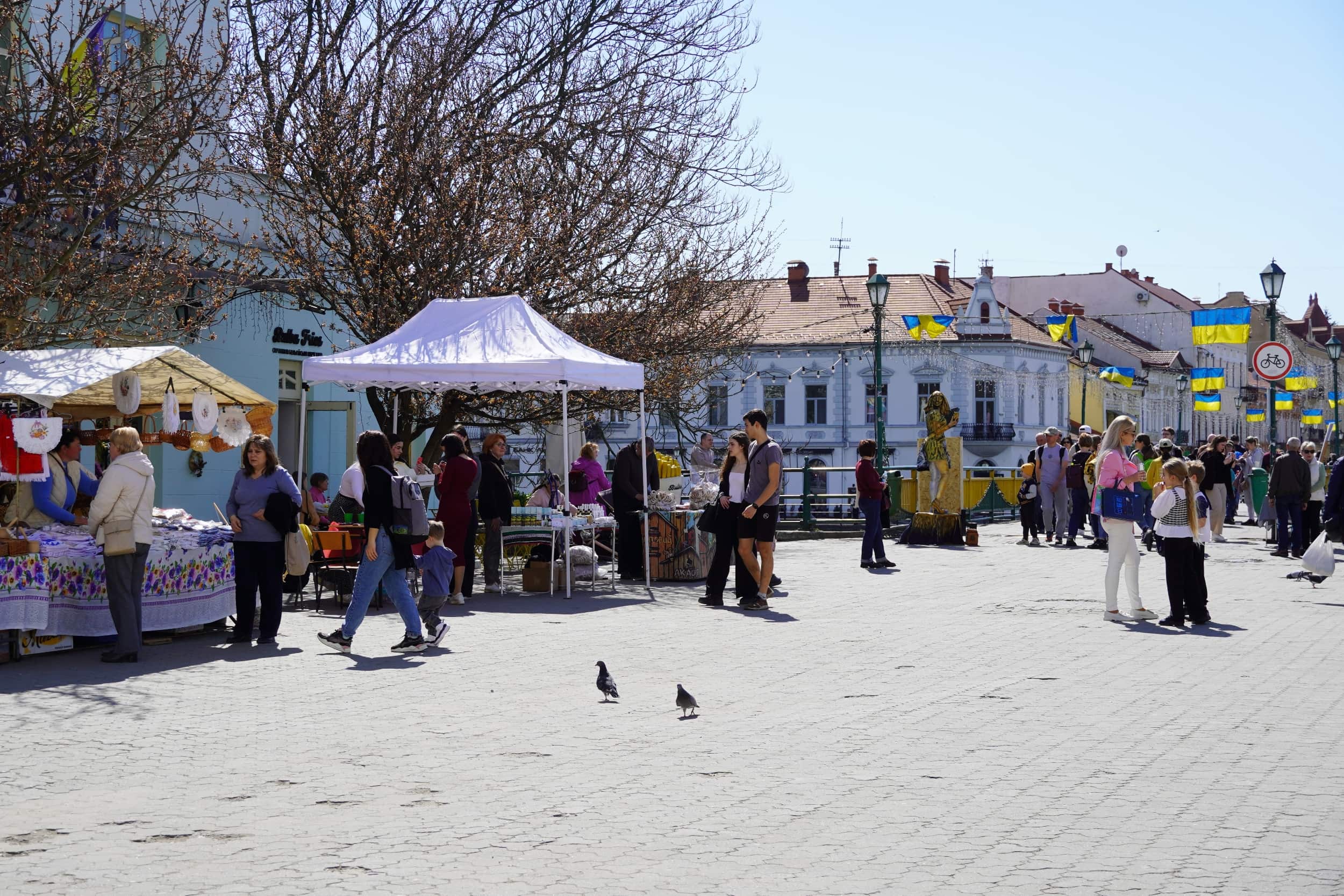 В Ужгороді розпочався традиційний «Сакура Фест - 2025»