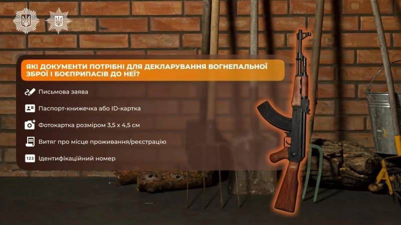 Що потрібно знати про декларування зброї