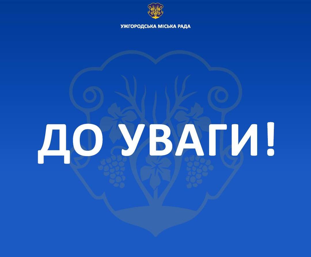 В Ужгороді безкоштовно щепитимуть домашніх тварин від сказу