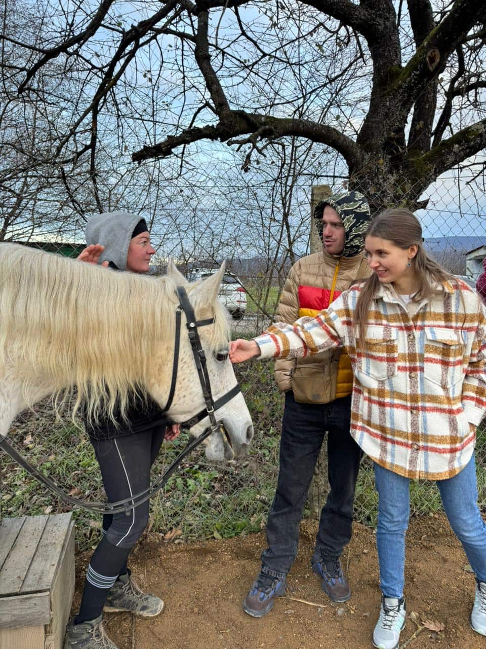 Днями відбувся черговий інтенсив з відновлення психологічного добробуту ветеранів війни: захисники з Ужгорода разом із сім'ями взяли участь у заняттях з іпотерапії