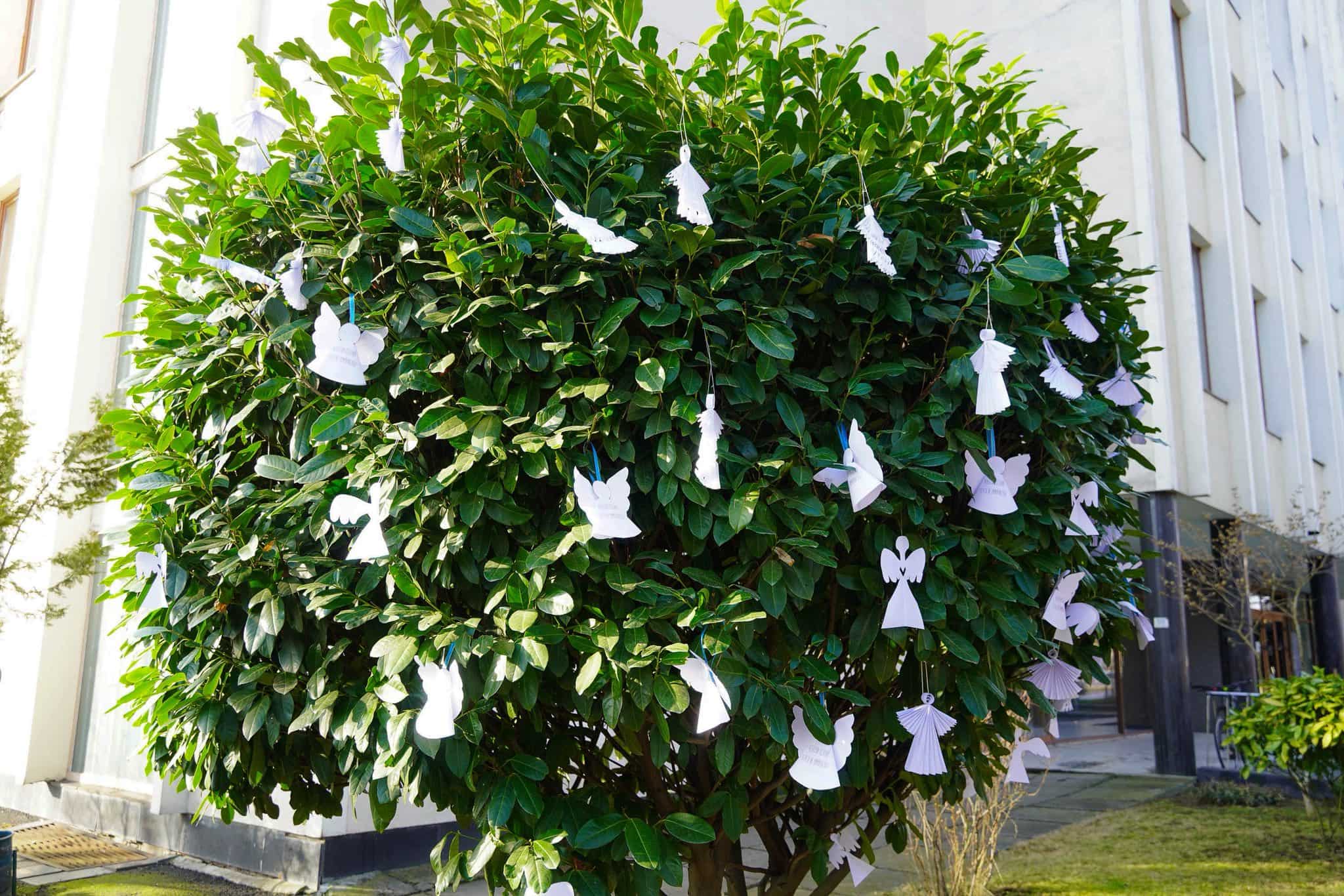 Вшановуємо памʼять Героїв Небесної Сотні