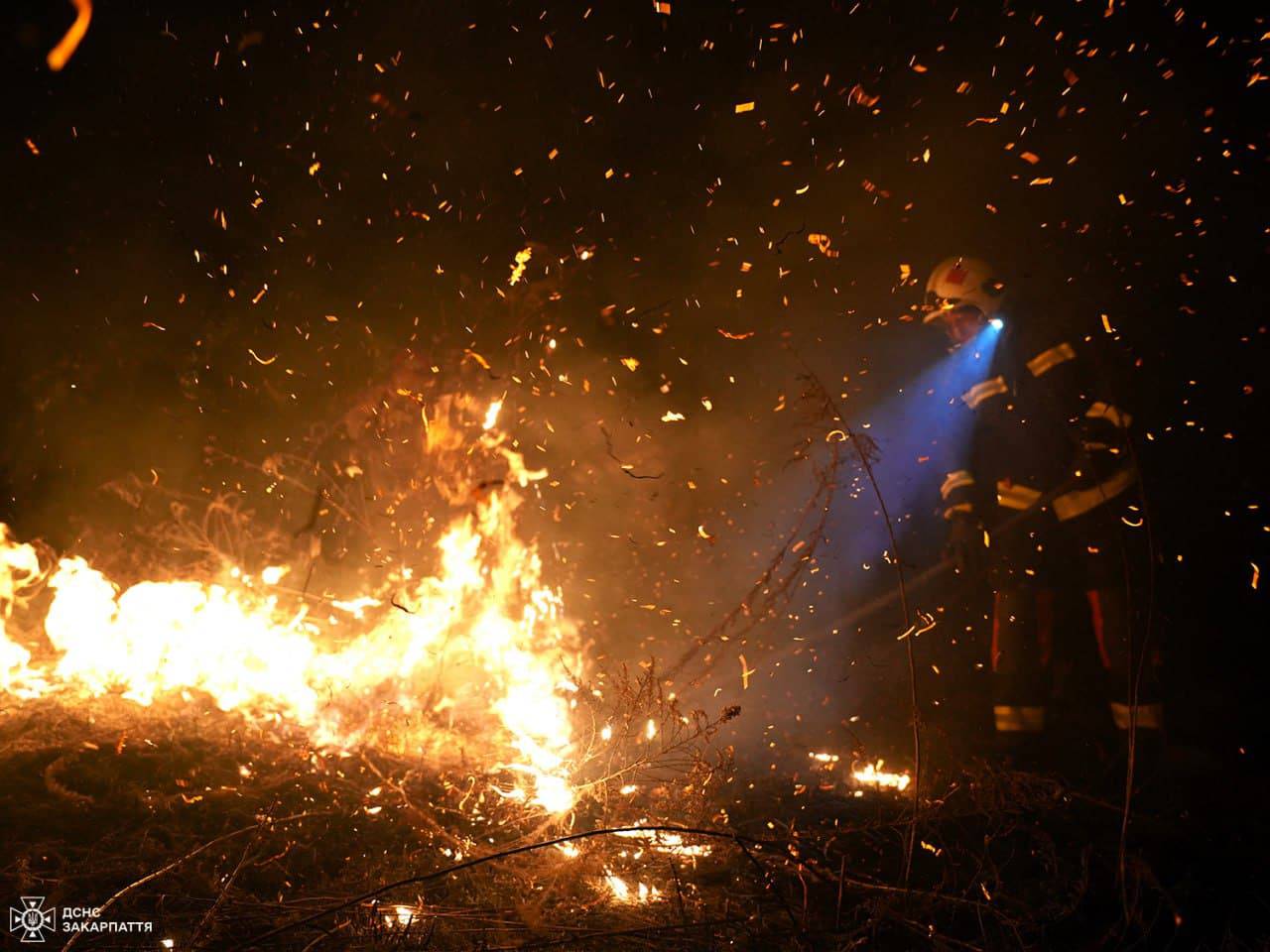 Не паліть сухостій і не розводьте багаття з порушенням правил безпеки — це небезпечно і призводить до масштабних пожеж