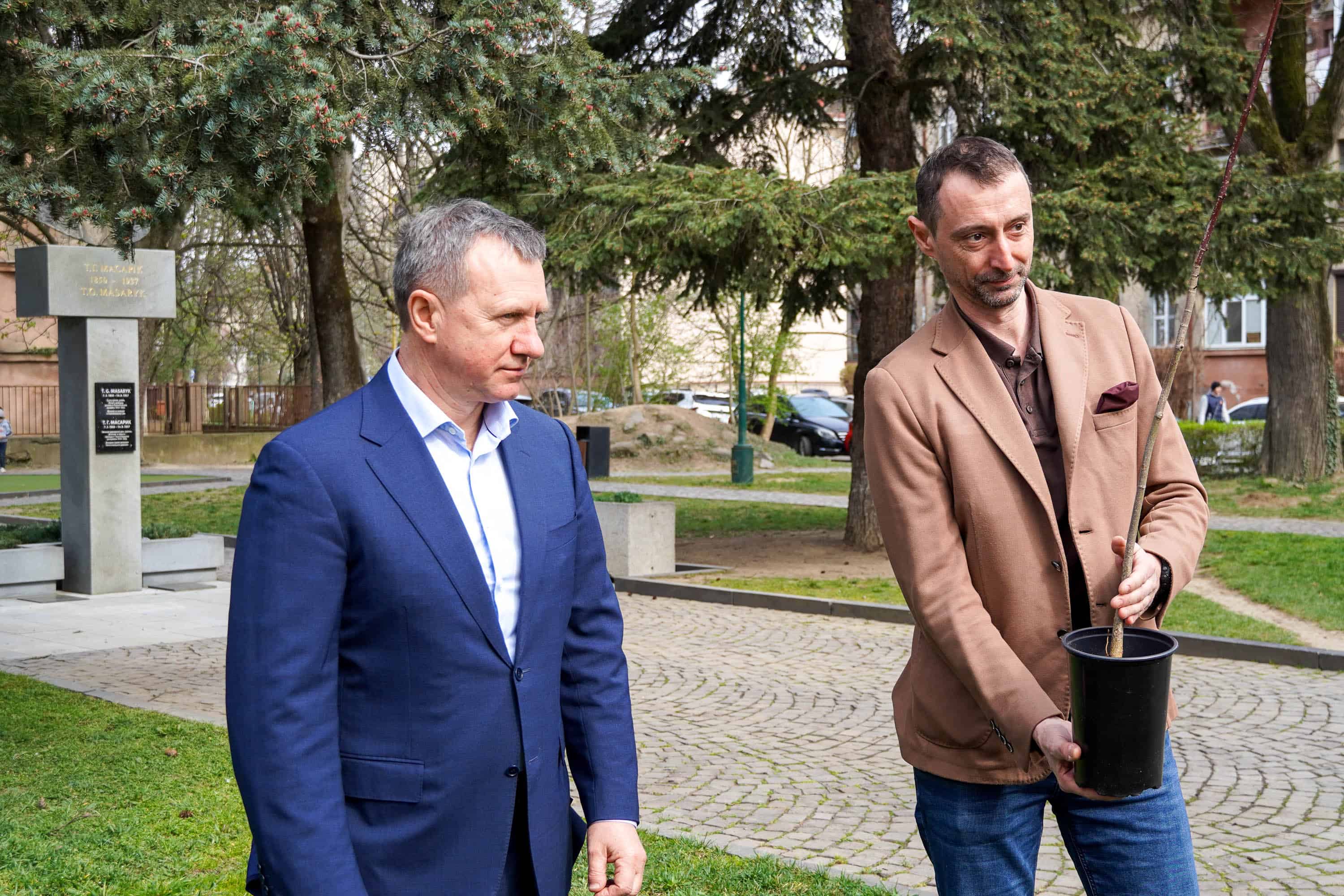 Символ дружби і партнерства: в Ужгороді висадили липу разом із делегацією краю Височина