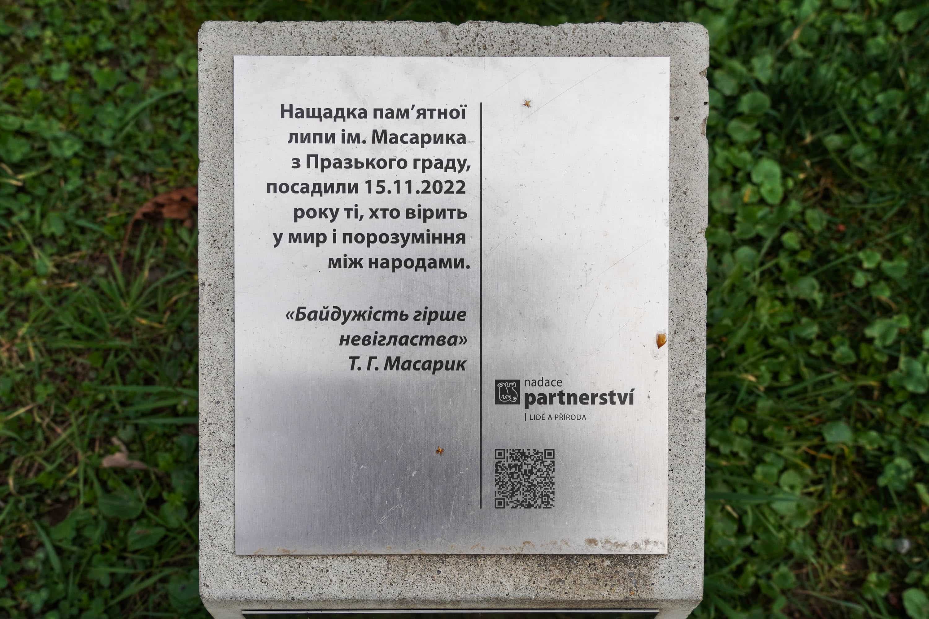 Символ дружби і партнерства: в Ужгороді висадили липу разом із делегацією краю Височина