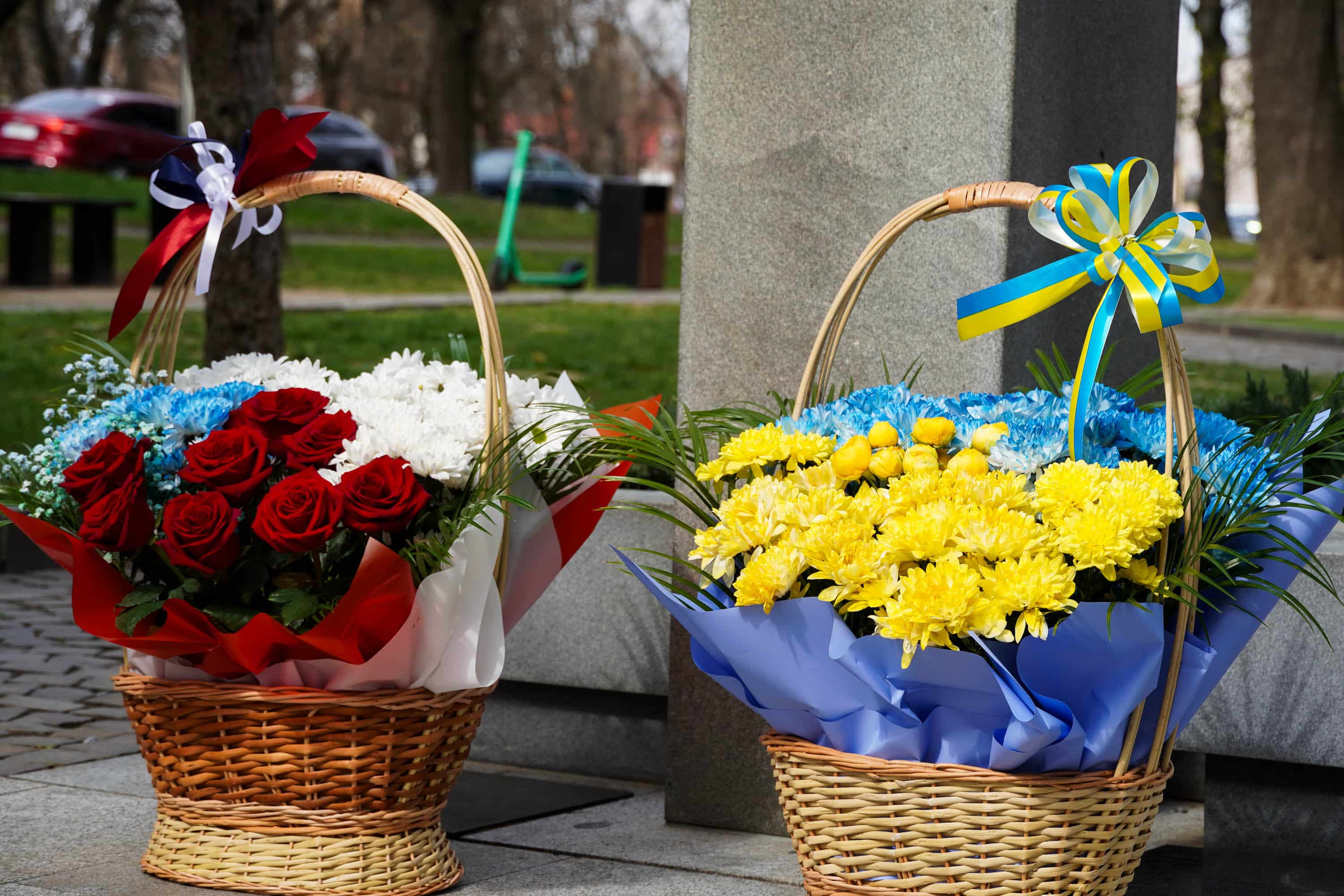 Символ дружби і партнерства: в Ужгороді висадили липу разом із делегацією краю Височина