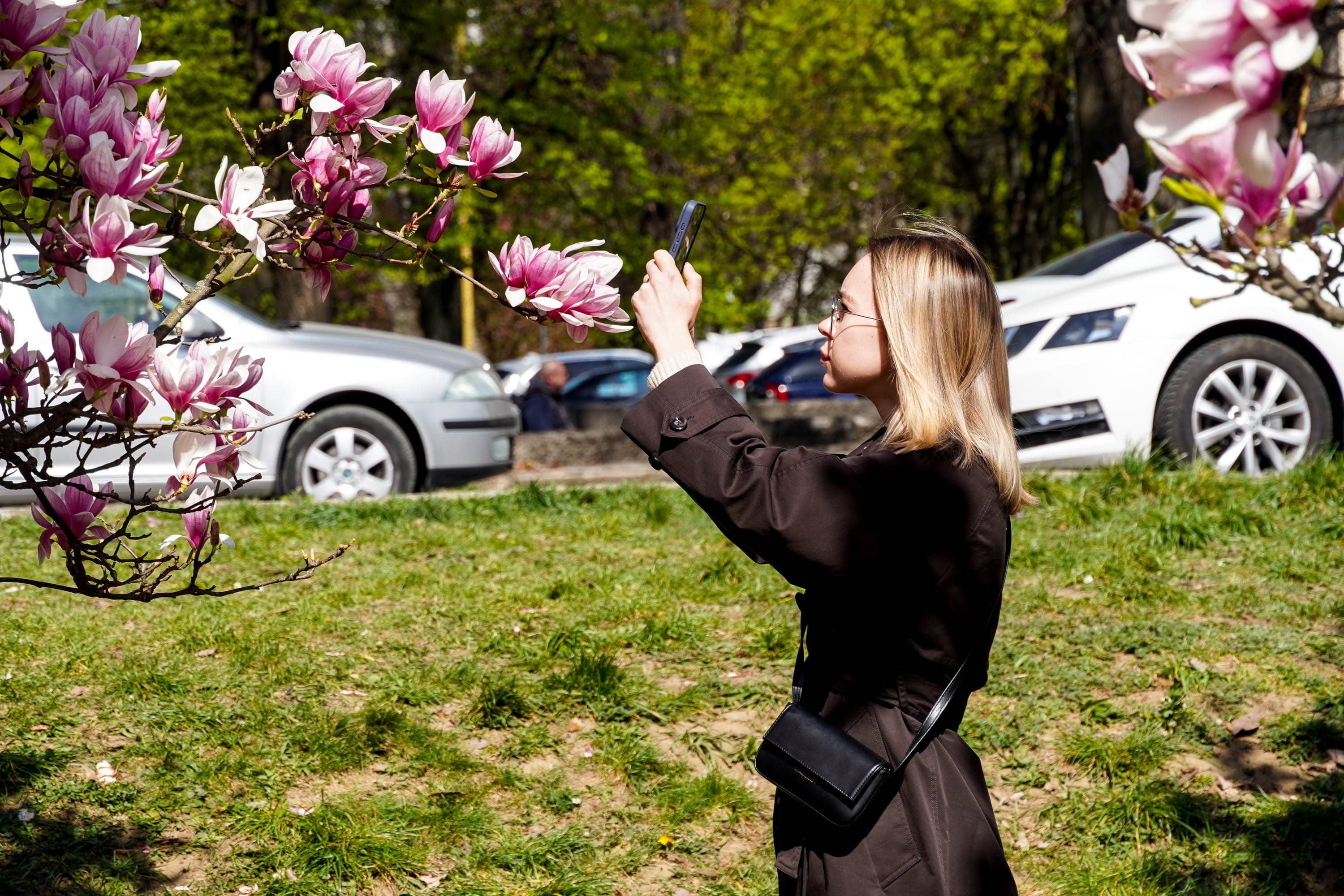 Ужгород готується до пишного цвітіння сакур