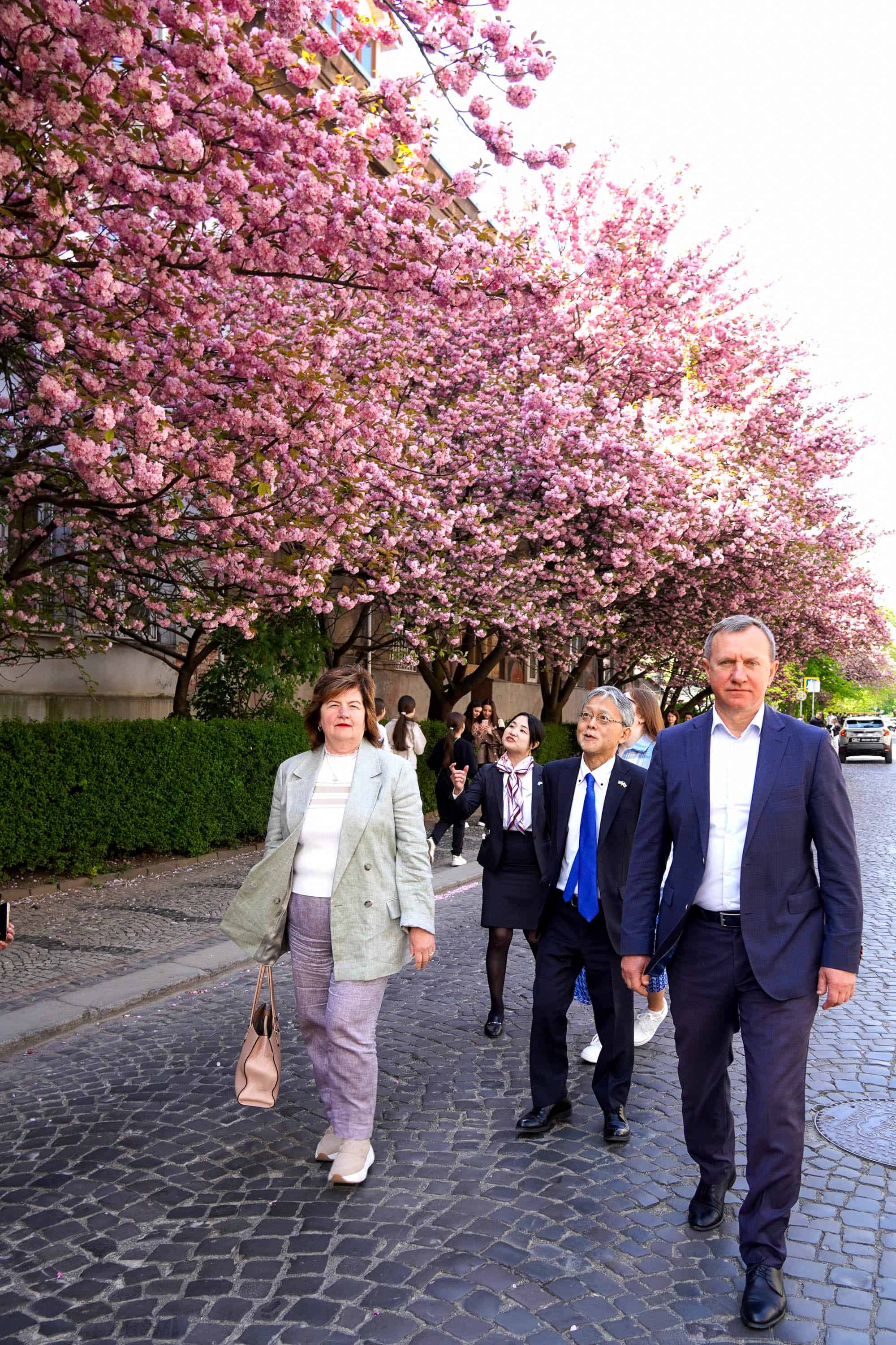 Офіційно «Сакура Фест» в Ужгороді стартував: його відкрив Надзвичайний і Повноважний Посол Японії в Україні Масаші Накаґоме разом із міським головою Богданом Андріївим