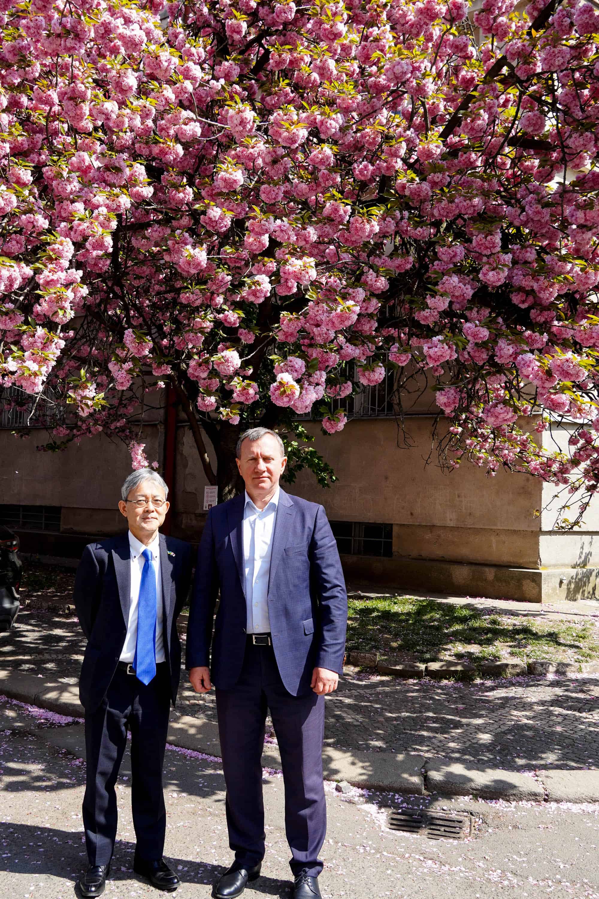 Офіційно «Сакура Фест» в Ужгороді стартував: його відкрив Надзвичайний і Повноважний Посол Японії в Україні Масаші Накаґоме разом із міським головою Богданом Андріївим