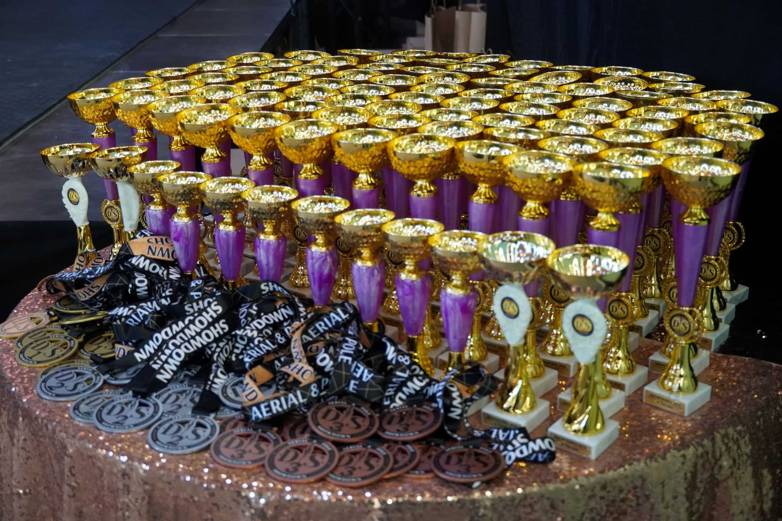 Ужгород приймає чемпіонат з пілонного спорту та повітряної акробатики