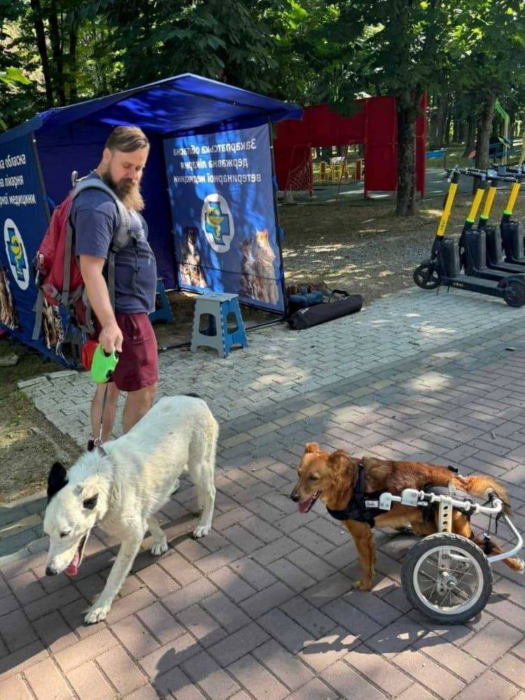 Безкоштовну вакцинацію домашніх тварин проти сказу проводитимуть в Ужгороді ще і завтра, 29 травня