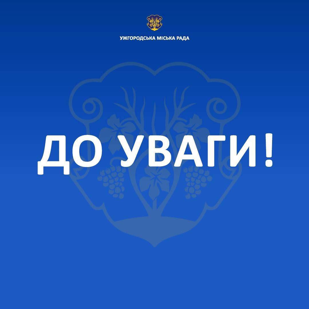 Безкоштовну вакцинацію домашніх тварин проти сказу проводитимуть 11-13 червня в Ужгороді