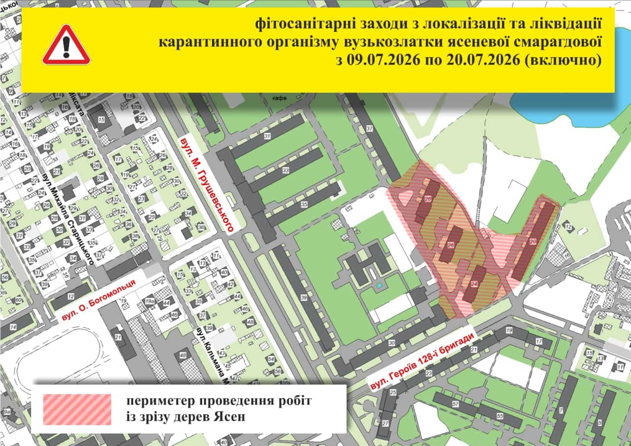 В Ужгороді на одній із вулиць запроваджено карантинний режим через виявлення небезпечного шкідника ясенів