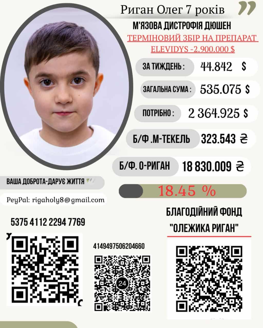 В Ужгороді під час «Мелодій над Ужем» збирали кошти на лікування 7-річного Олежика Ригана