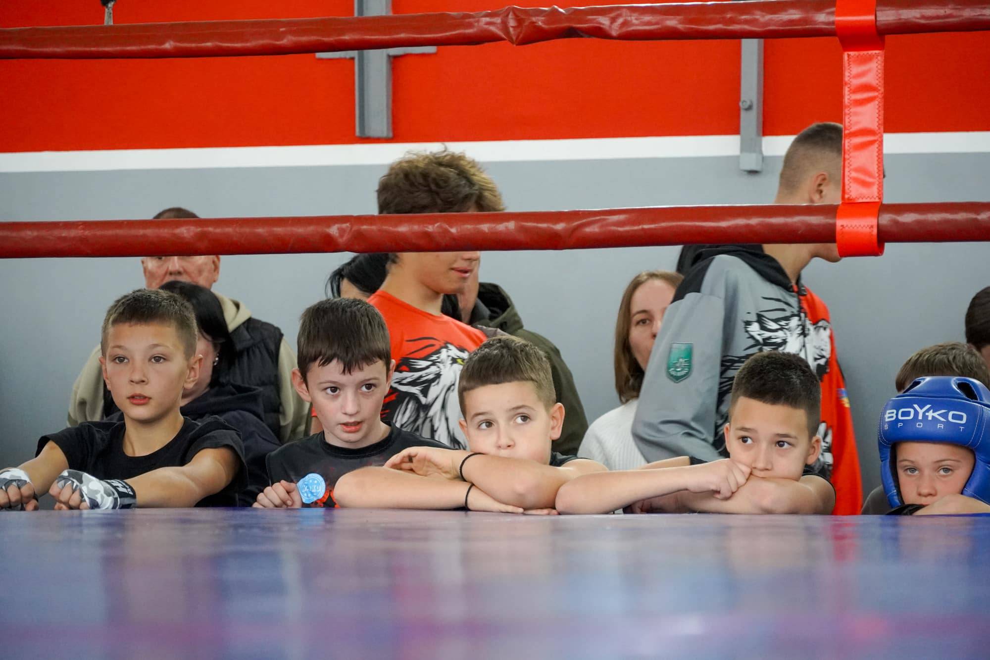 Відбувся відкритий кубок Ужгорода з кікбоксингу WAKO