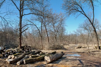 У Боздоші глобальна “чистка” – парк “освіжають” до теплого сезону