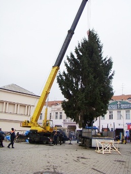 В Ужгороді встановили головний символ прийдешніх свят