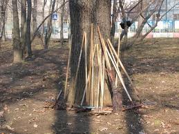 В Ужгороді відновлюють “санітарний день”