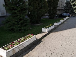 12805869_596586857170529_5275864673001356577_n