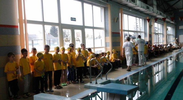 12924389_598033113692570_832462641750031505_n