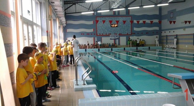 12928287_598033120359236_3463795783371971255_n