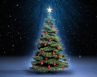 Сьогодні о 15.00 на пл. Ш.Петефі відбудеться відкриття першої ялинки в Україні!