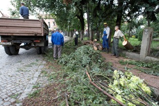 В Ужгороді “жертвами” буревію стали дерева і дахи. “Катастроф, на щастя, не сталося, усунення наслідків негоди триває”, – міський голова підсумував роботу служб