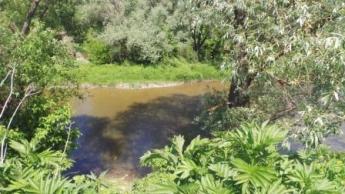 В Ужгороді почнуть укріплювати дамбу в мікрорайоні Радванка