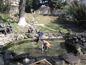 Водограй в альпінарії готують до запуску