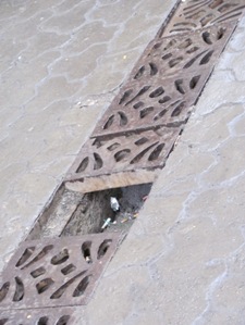 Міська влада вкотре попереджує заготівельників металу