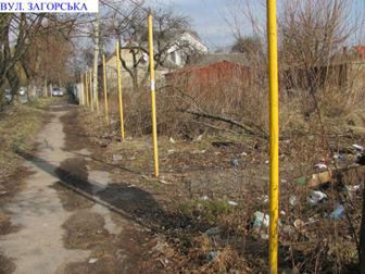 Ужгородський міський голова оголосив місячник благоустрою