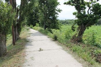 На Студентській набережній пообрізали старе гілля і покосили узбіччя