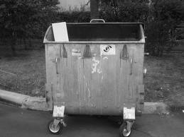 Ужгород проводить оглядини “сміттєвих” інвесторів