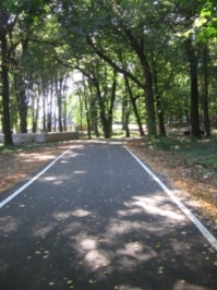 У Підзамковому парку завершили облаштування доріжок