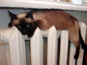 У міській дитячій лікарні та пологовому будинку увімкнено опалення